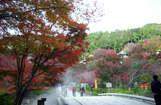 勝尾寺写真
